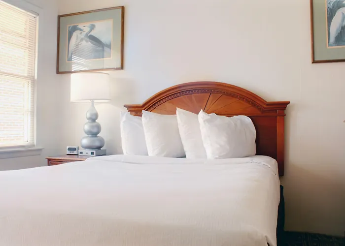 Oceanic Motel 2*
